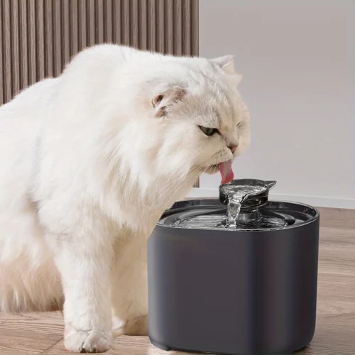 74.39oz Pet Water Fountain - Includes 8 Replacement Filters