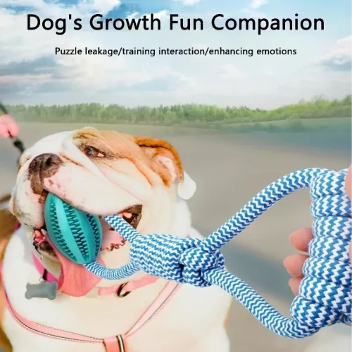 Interactive Dog Treat Ball