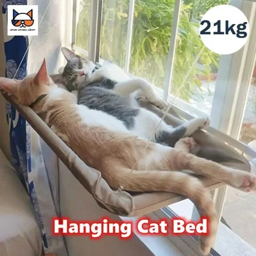 Cat hammock, suction cup