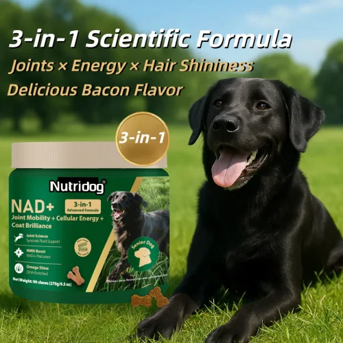 NUTRIDOG Senior Dog Vitamins Soft Chews